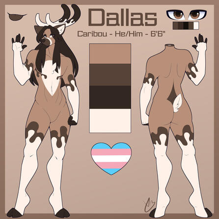 A "Complex Ref" is two full body images of your character (front and back) with some additional info on the sides.